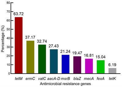 Molecular characteristics of Staphylococcus aureus strains isolated from subclinical mastitis of water buffaloes in Guangdong Province, China